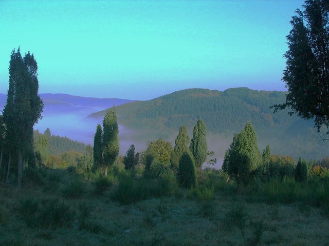 Eifel, early morning at Ahr Valley