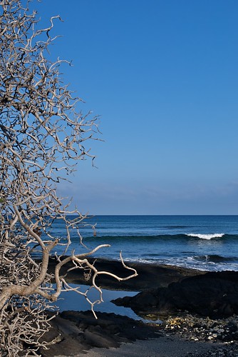 ocean morning blue plant beach sunrise hawaii lava nikon wave 1755mmf28g fractal d80