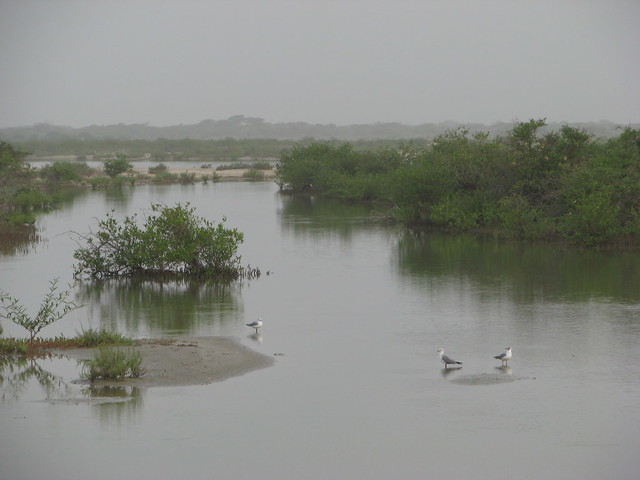 Special Reserve of Wildlife of Guembeul, Senegal