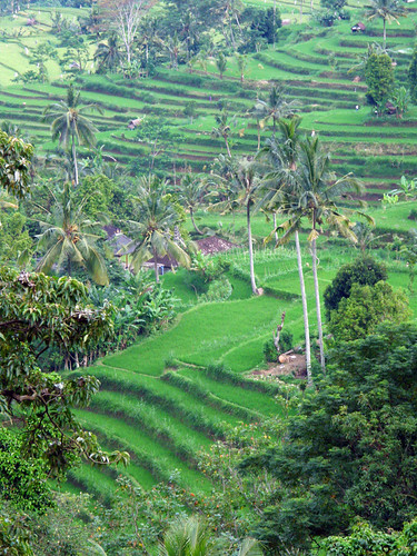 Indonesia