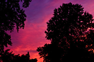 Sunsets - Burning Tree - 10-9-08