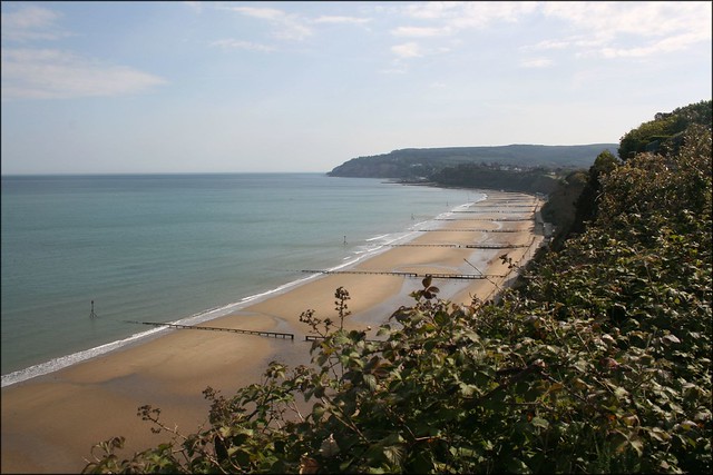Looking to Shanklin