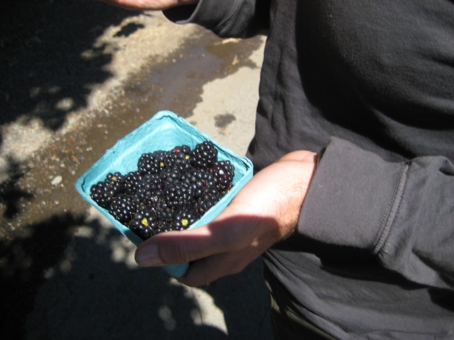 Boisenberries from Detering Orchards