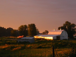 Morning Glow