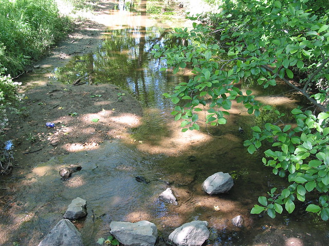 Gunner's Lake Park:  The rocky creek