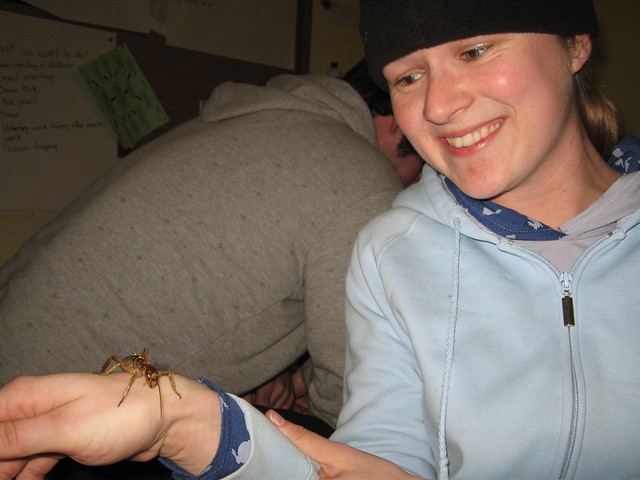 Chris and her labelled weta