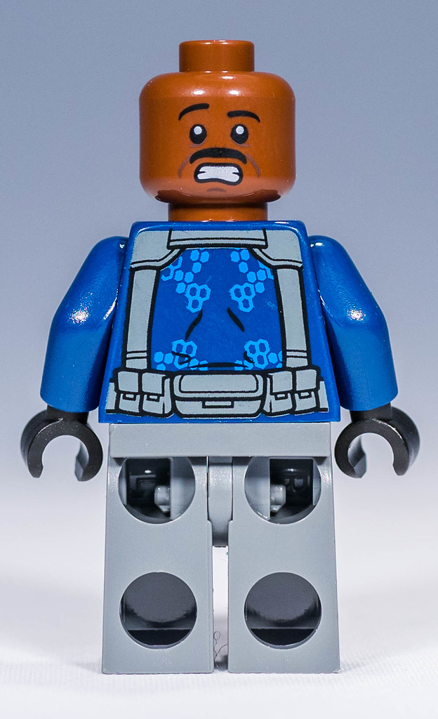 lego 75919