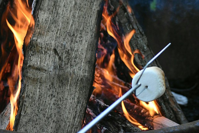 The key to peace on earth is some hot coals and some marshmallows.