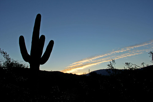 cactus sunrisephotography sunrise cloudsandsky clouds cloudsandmountains mountains tusconarizona arizona arizonasunrise sky