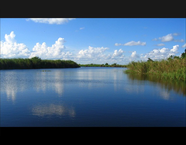 Everglades Serenity