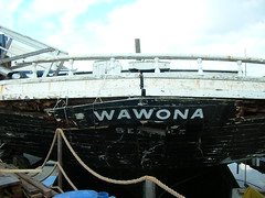 Wawona