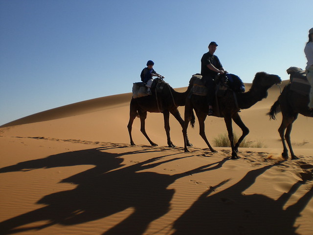 camel trek - tadhg