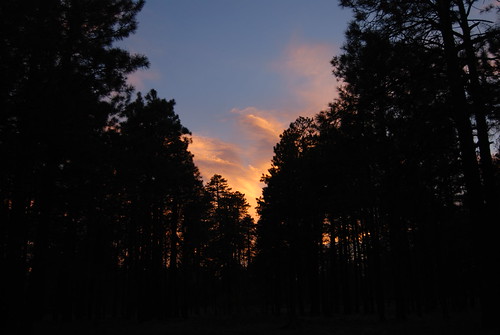 DSC_0634 by Devin Ford, Canyon Point Campground
May 18, 2008
Near Woods Canyon Lake, Arizonasunset arizona pine forest rim p