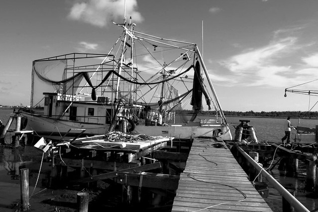 Cameron Parish Fishin' | Dock side Preparartion | Flickr