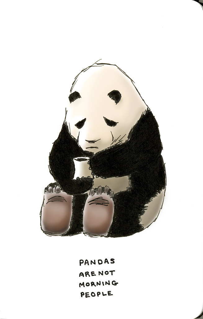 pandas are not morning people | Jason Sweeney | Flickr