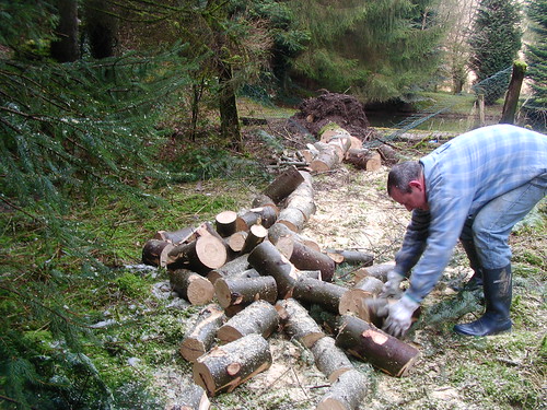 woriking arbeiten im wald in the woods hard chiansaw holz wooden | by poltergeistluxx