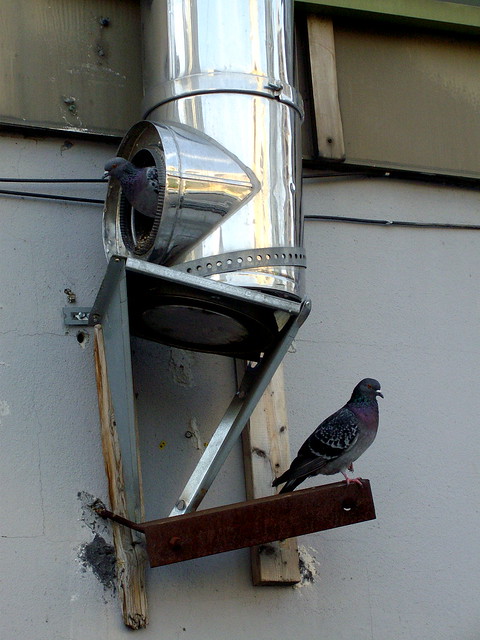 a post-modern bird-house