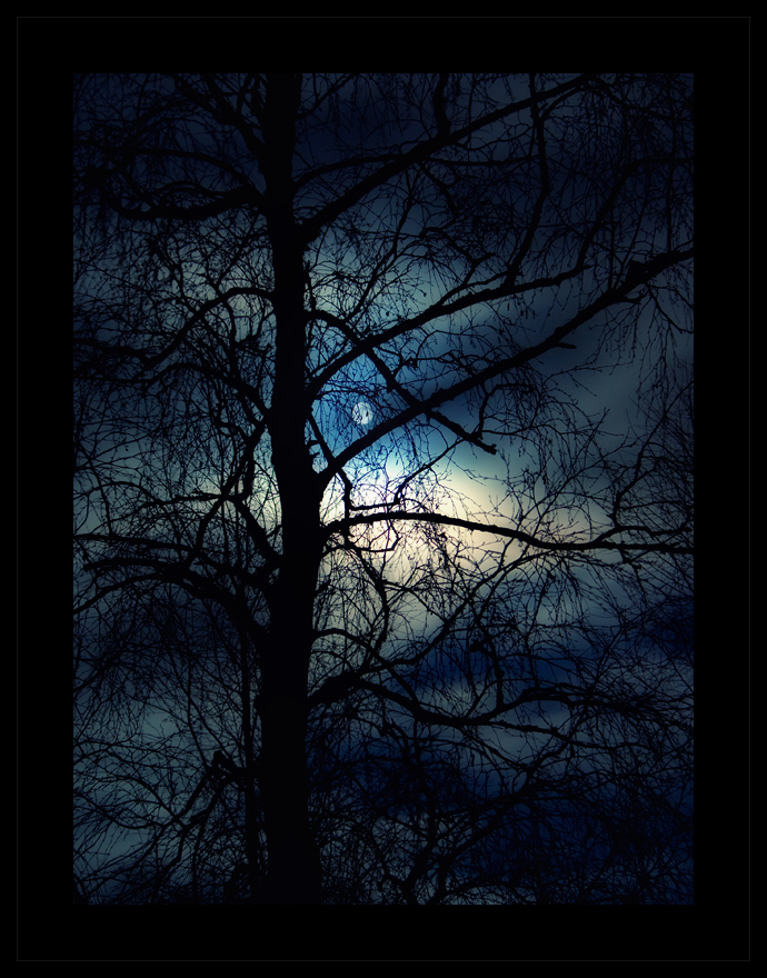 Cold Full Moon by Joni Niemelä
