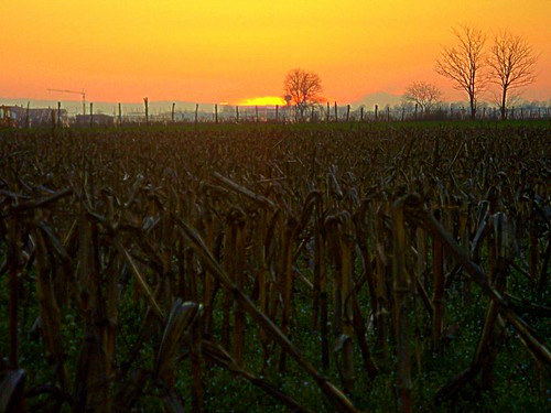 sunset broken field landscape tramonto country campagna land campo adventures piacenza pianurapadana brokenland