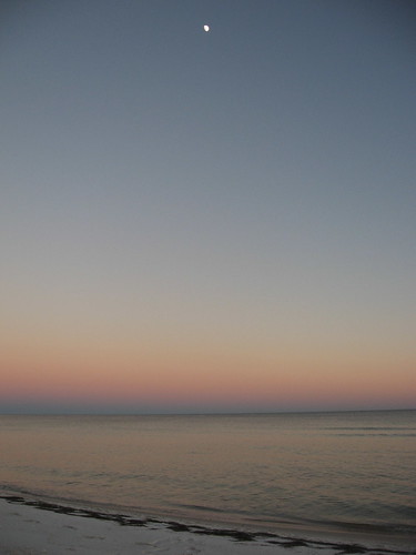 sunset moon beach water florida dogisland