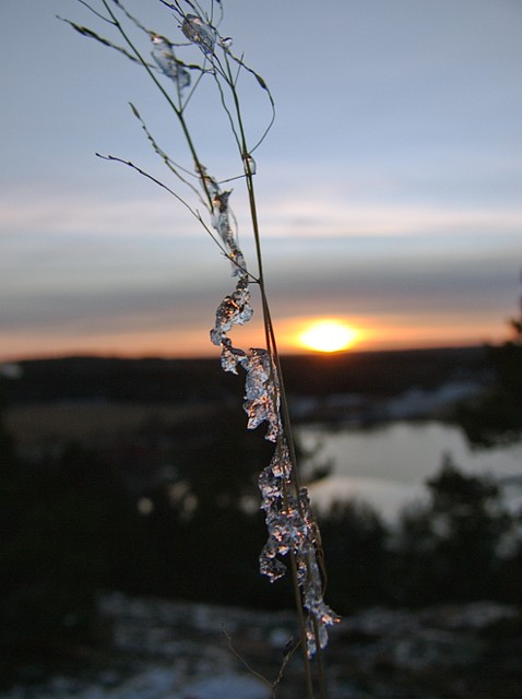 Ice in the sunset