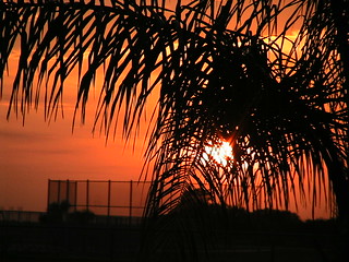Sunset, Loxahatchee, Florida