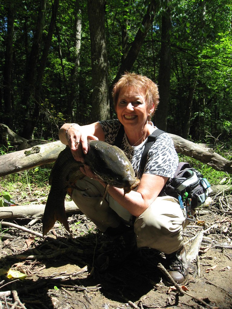 Fly Fishing Mohican State Park Clear Fork River