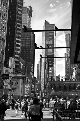 pigeons roost over Times Sq. | by Catch the Noise