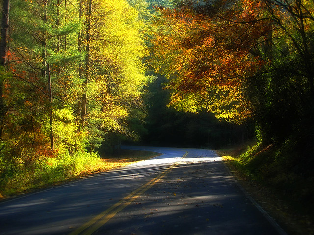 Autumn Leaves Along South Carolina Highway 28 - Oconee County