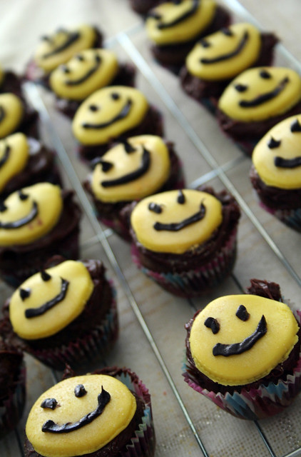 shiny happy cupcakes smiling