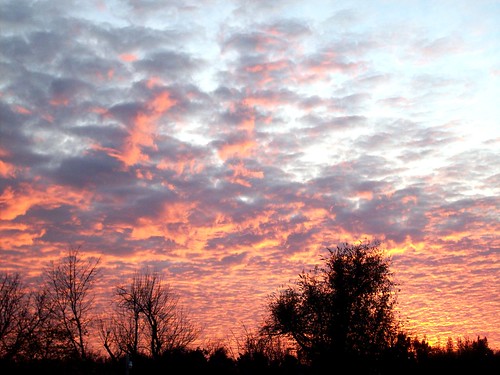 trees sunset sky sun tree home clouds evening scenery springfieldmissouri altocumulus theozarks rottlady rottladyhome