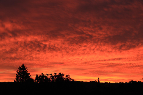 trees shadow red sky orange sun silhouette night clouds sunrise fire dawn day