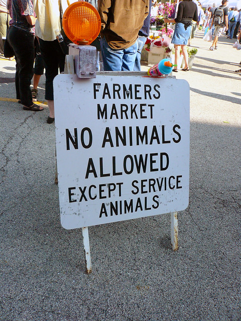 No Party Animals Either, I suppose...