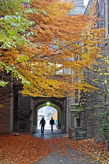 Autumn Passageway McMaster University