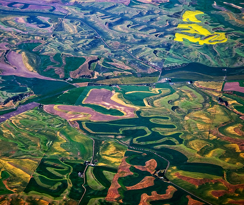 Palouse Patchwork by Jeff Milsteen