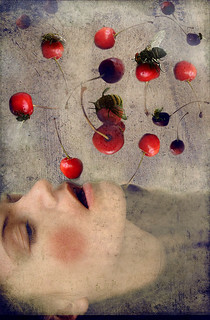 sweet cherry II | by entelepentele