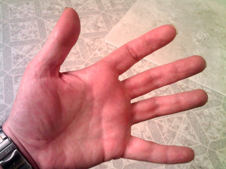 My Left Hand - 203/365