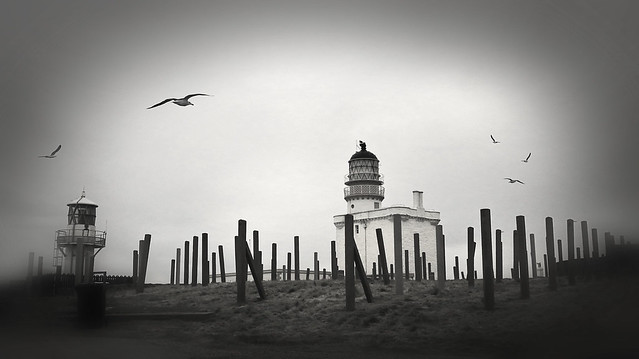 Lighthouse - 105 of 215