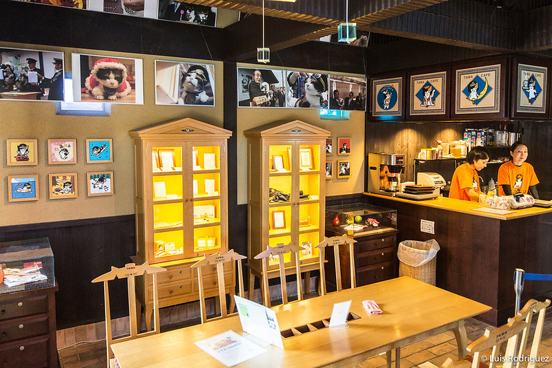 Interior de Tama Cafe, en la estación de Kishi