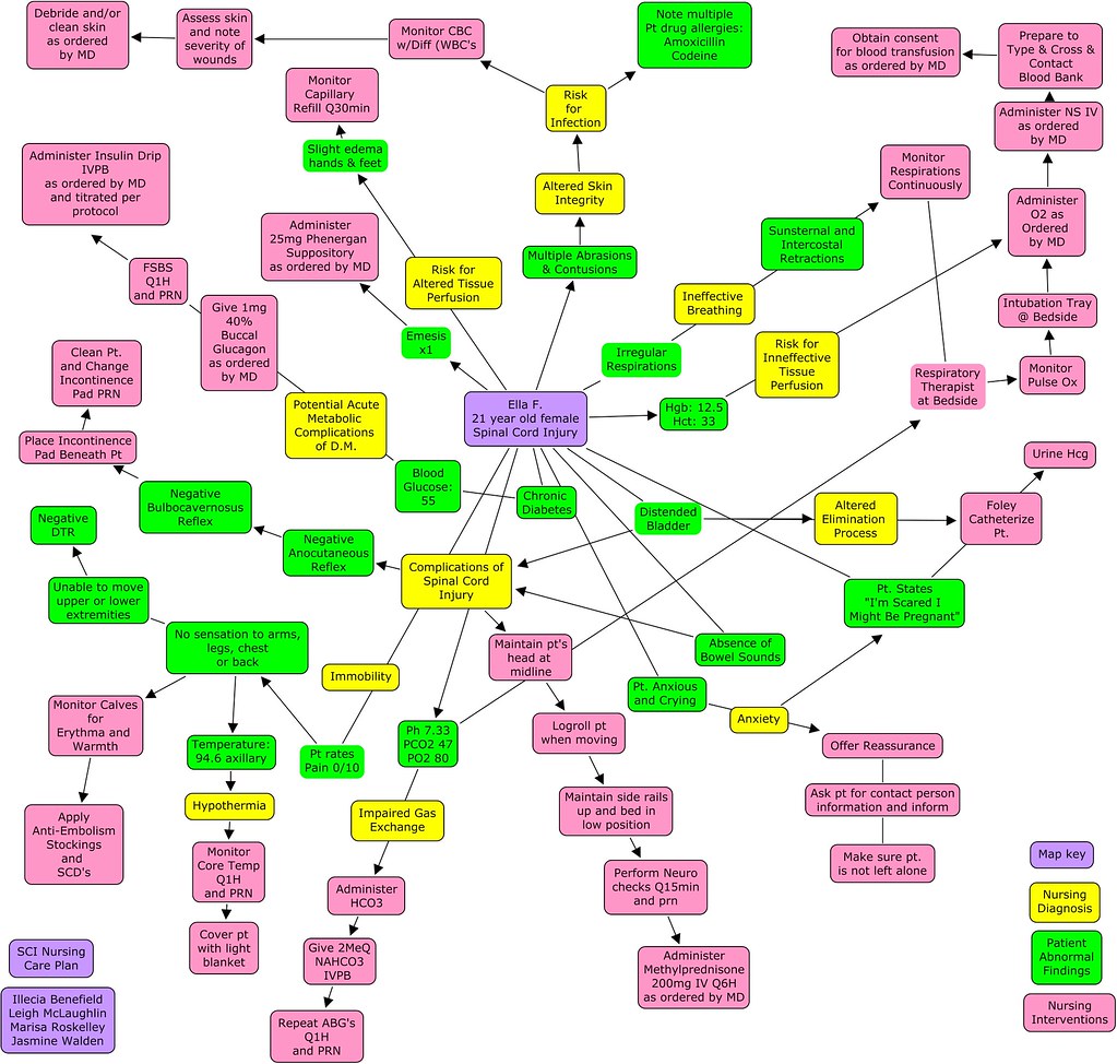 Spinal Cord Injury Nursing Care Plan Concept Map This Is W Flickr