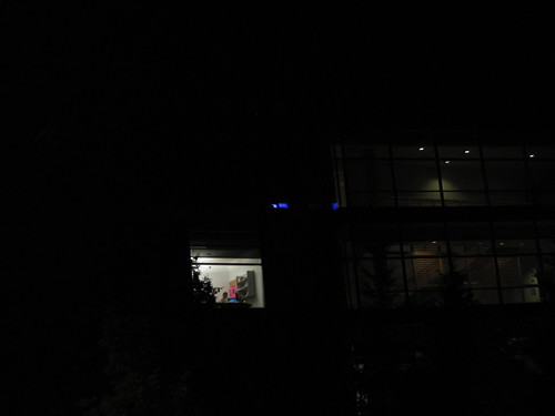 Microsoft by Night | by Kistaro Windrider