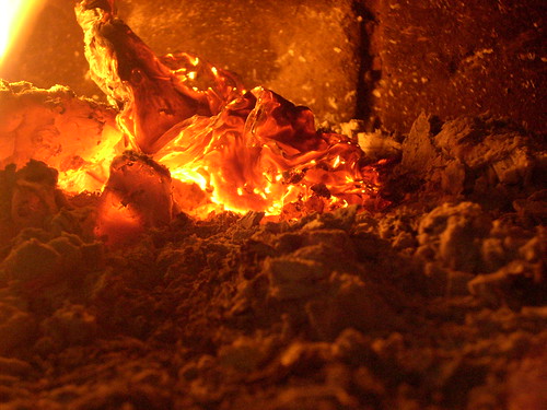 macro fire photography dehradun fri nagpur ankita asthana vnit
