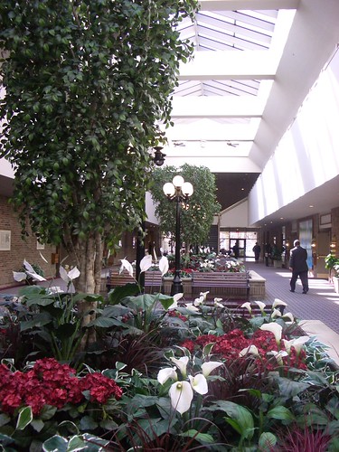 Atrium | by hpygrl01