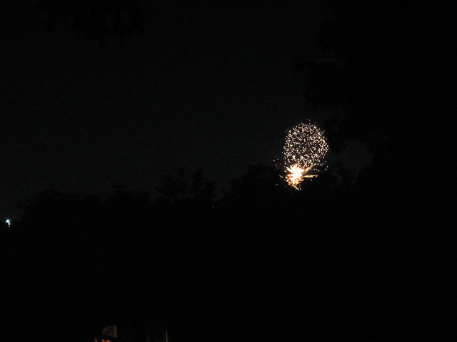 Bedford Fireworks 2008 (134)
