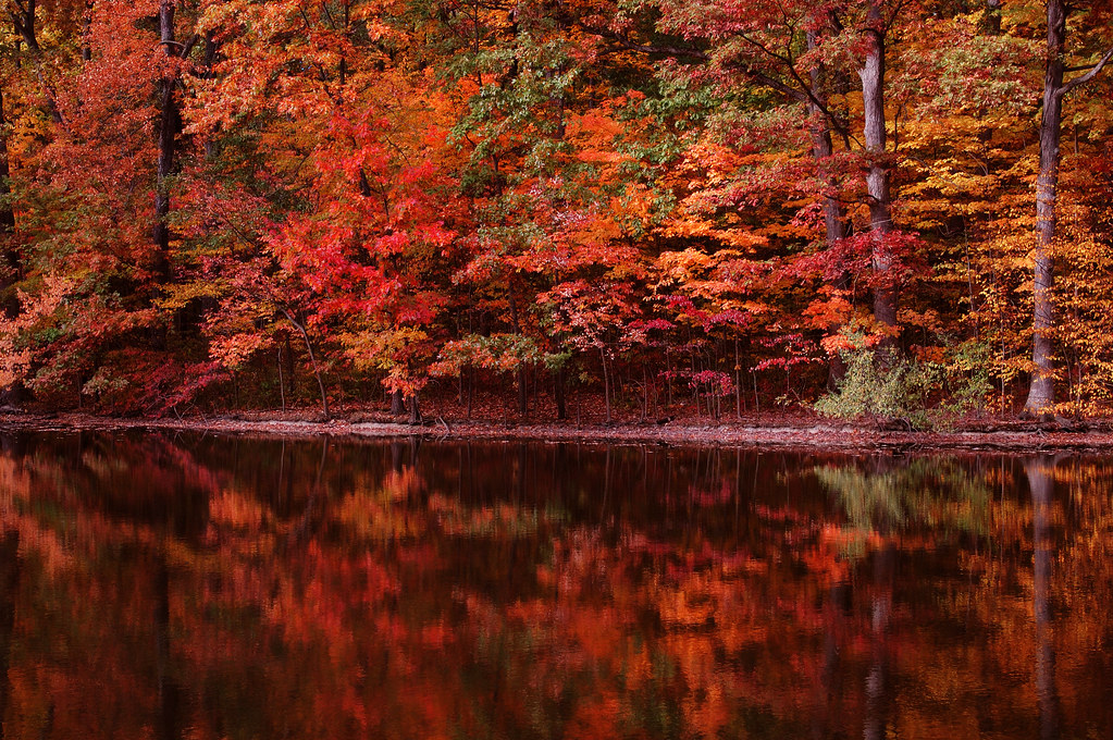 Autumn in Indiana | Theresa Thompson | Flickr