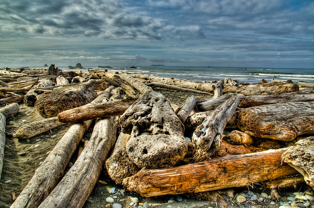 Driftwood Logs on Ruby Beach