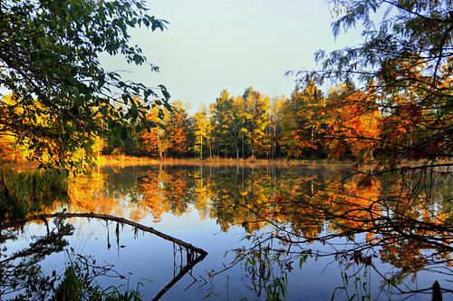 Fall Color Reflection | by Scott Memphis TN