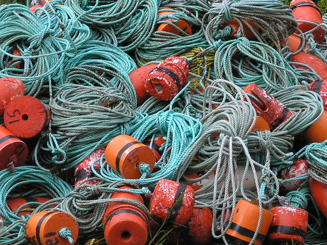 fishing net ready for action in Nova Scotia