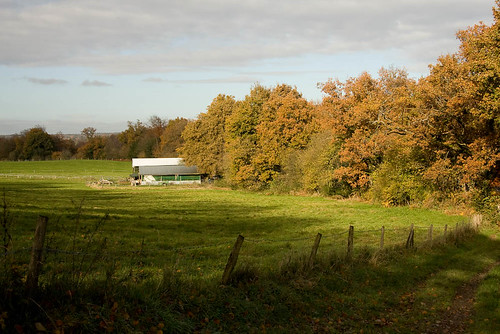 Cotchet Farm 