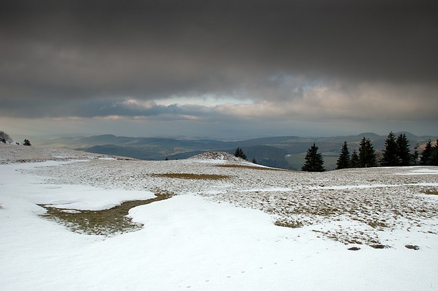 drh01112 | am Pferdskopf. Rhön, 25.12.2008